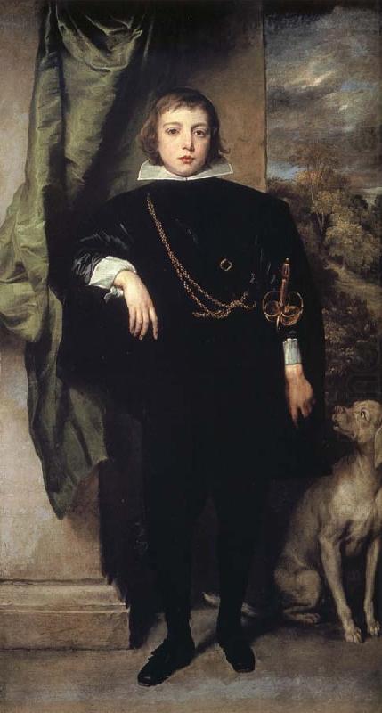 Anthony Van Dyck Prince Rupert of the Palatinate china oil painting image